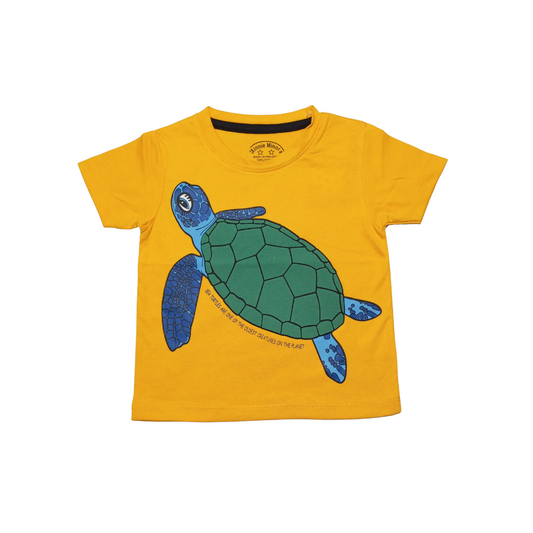 Yellow Turtle